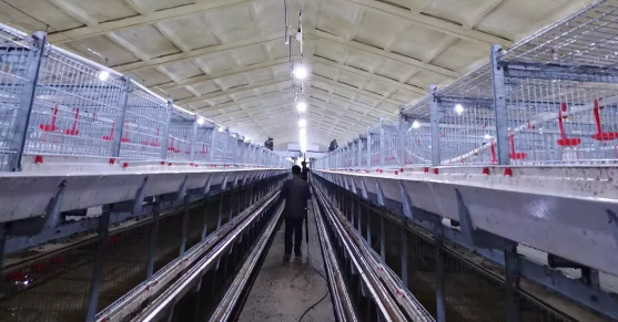 養(yǎng)鴨場老板：熱泵供暖溫度高，費用比燒煤還省！